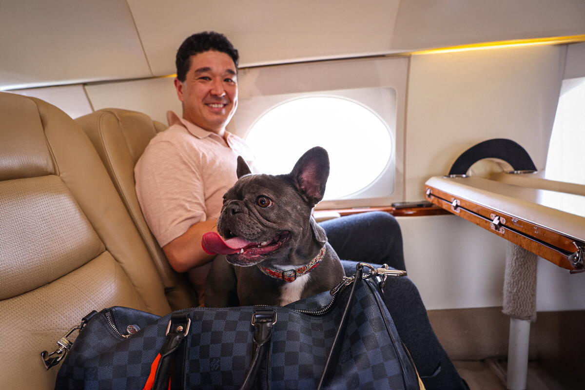Snub-Nosed (brachycephalic) Pets