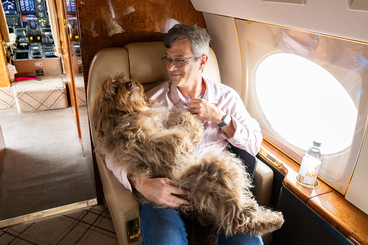 Pet Friendly Travel and Relocation