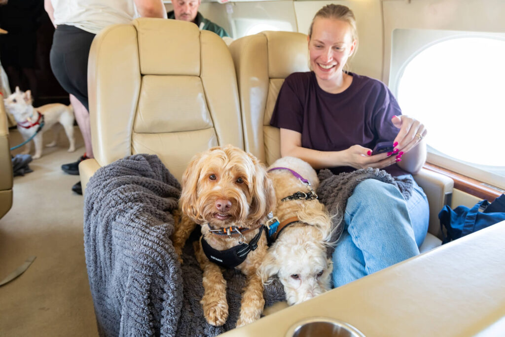 travel with pets on privat jet