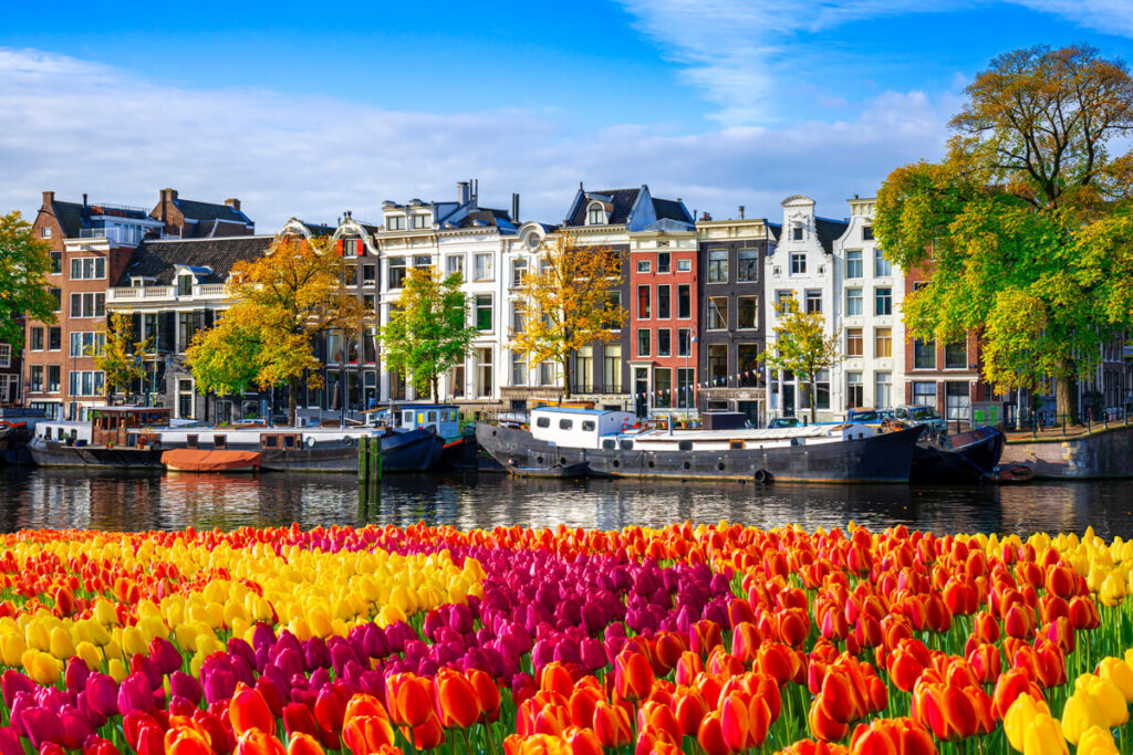 Travel with pets to Amsterdam, Netherlands