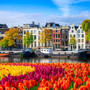 Los Angeles to Amsterdam (via New Jersey)