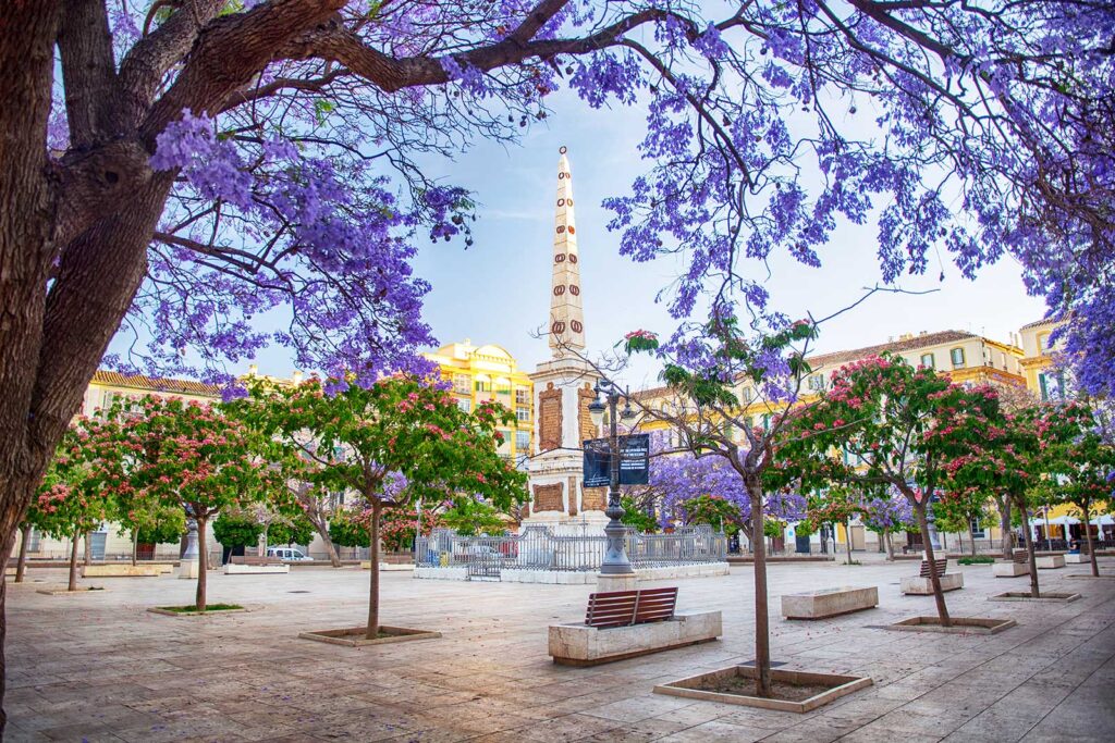 Fly with your pets to Malaga, Spain