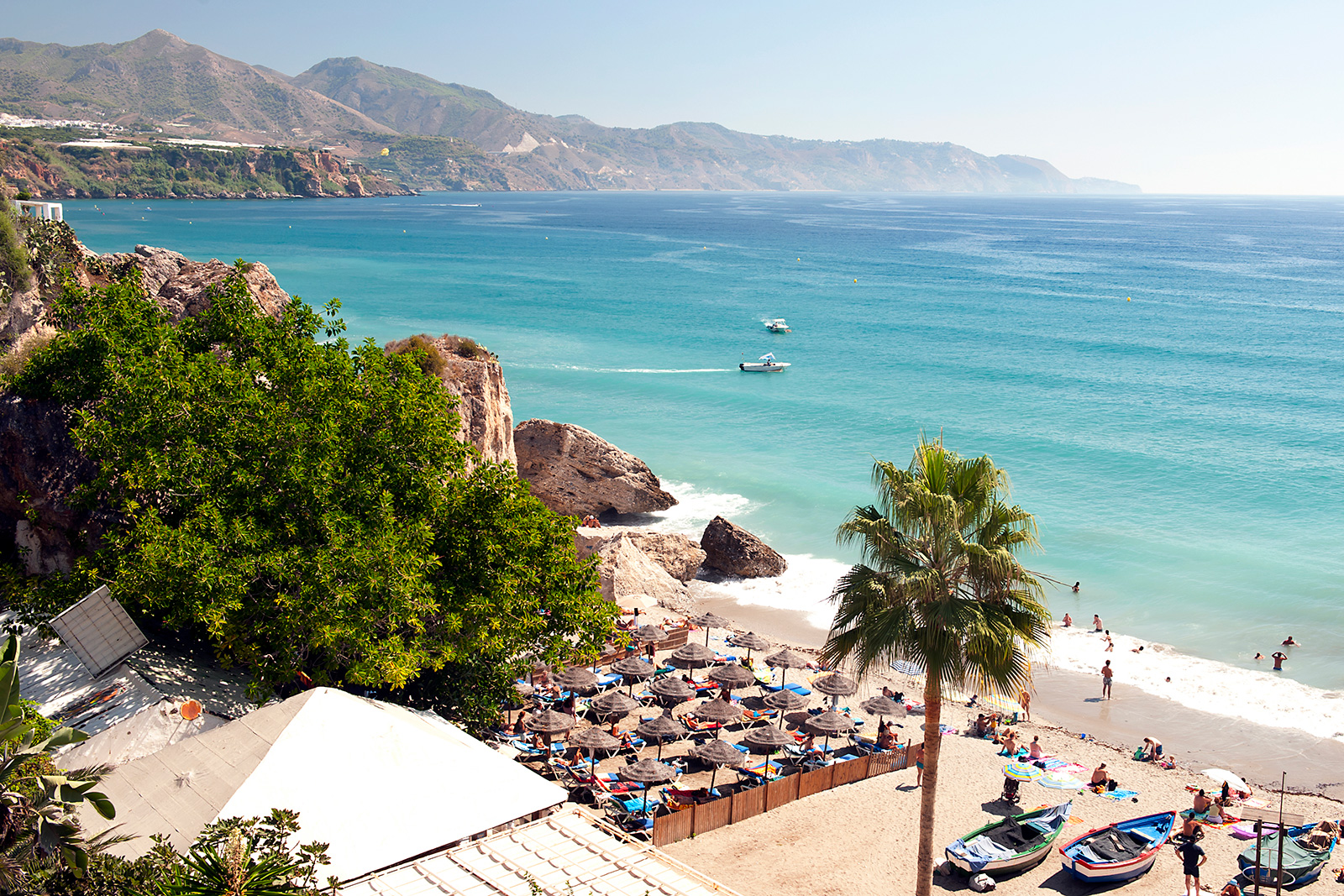 Fly with your Pet to Malaga
