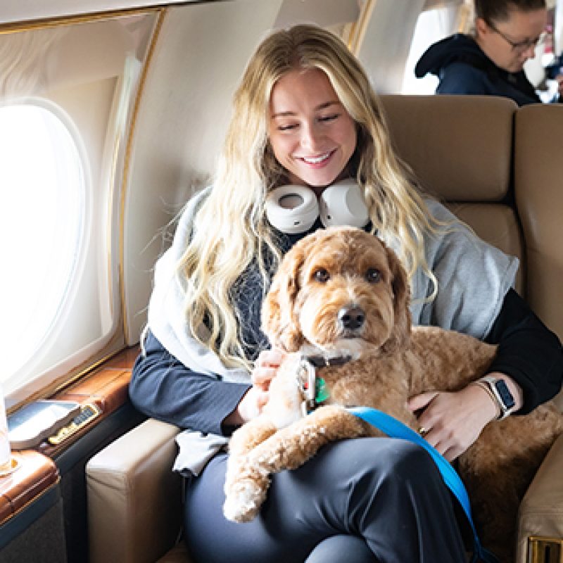 K9-passenger-email