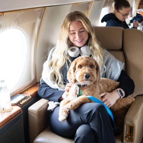 K9 JETS: Always by your side